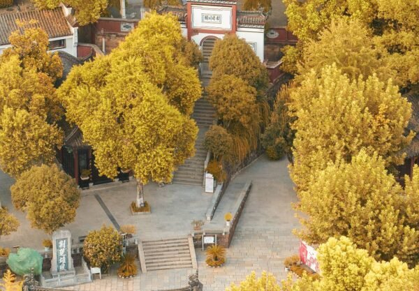 Qingchuan Pavilion Park