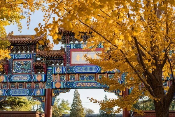 Lama Temple