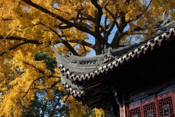 Yu Garden