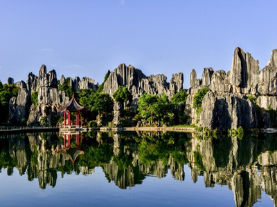 Stone Forest Scenic Area