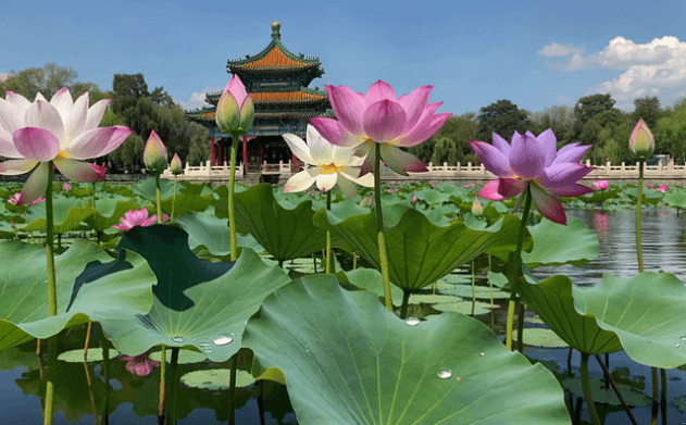 Beijing Itinerary-3