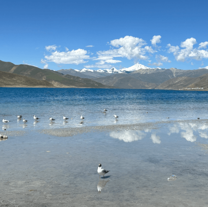 Tibet Travel Guide-3