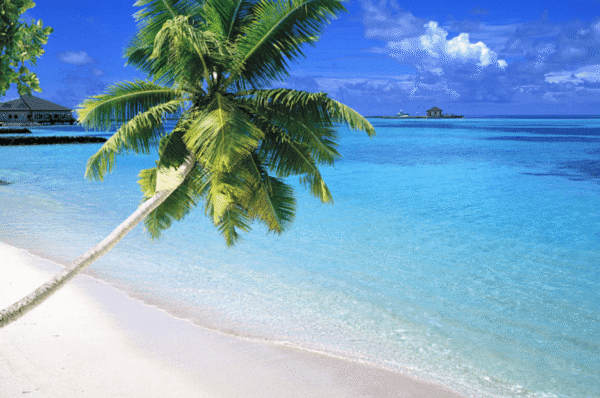 Hainan Travel Guide1
