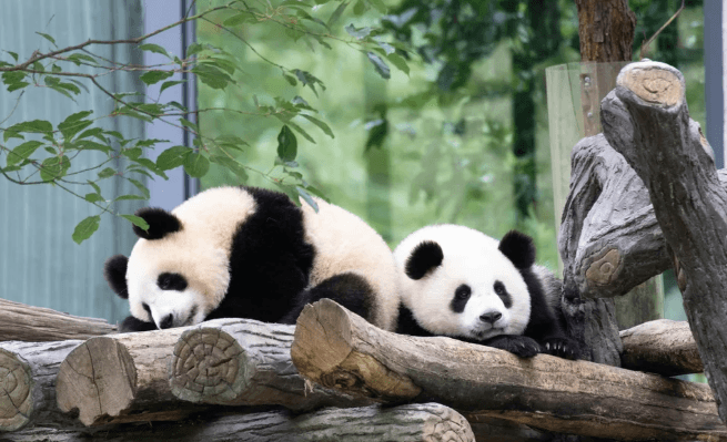 Sichuan Tours-6