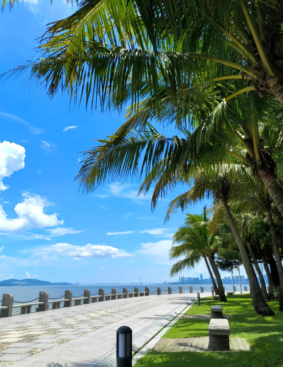 Shenzhen Day Trips