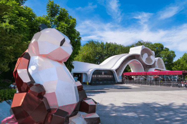 Chengdu Panda Base Guide