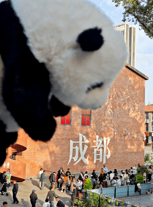 Chengdu Panda Base Guide
