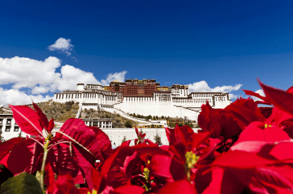 Tibet Tours