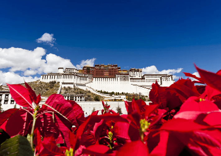 Tibet Tours