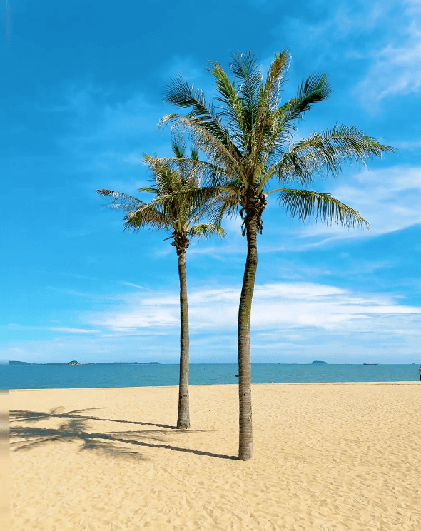 Xiamen Travel Guide