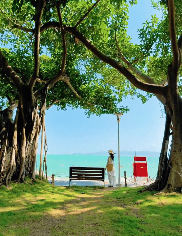 Xiamen Travel Guide