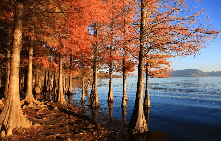 Kunming Travel Guide