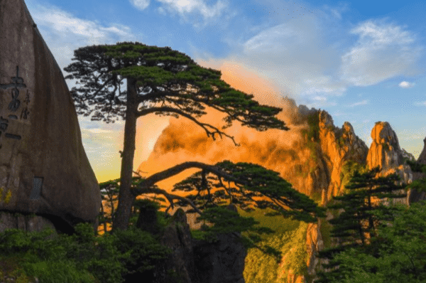 Huangshan Travel Guide