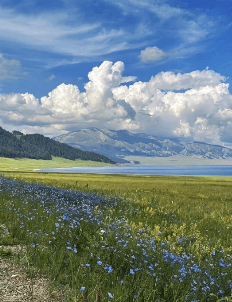 Visit Xinjiang in Summer