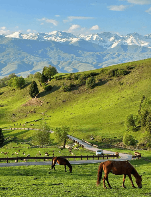 Visit Xinjiang in Summer