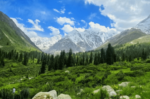 Visit Xinjiang in Summer